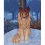 pumpkincat