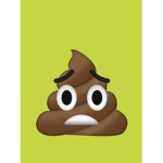 BOOTIFUL POOP NUGGETS
