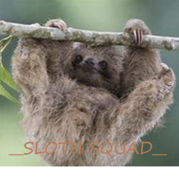 Sloth squad meeting place