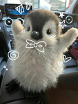 silly sea pups!<3