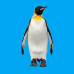 Penguin Proverse