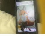 Raposinha fans