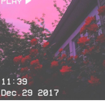 Sky Lights <3