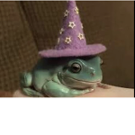 Fan group for wizard frogggy