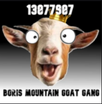 BORIS MOUNTAIN GOAT GANG