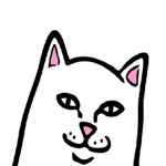 RIPNDIP LIFESTYLE