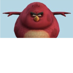 Biggest bird games
