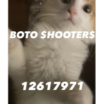 BOTO SHOOTERS