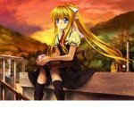 - anime fan -