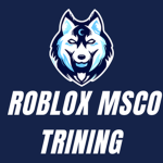 MSCO training da vis county