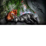 Wolve's and fox's