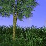 Group Thumbnail
