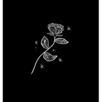 RoseClub123
