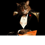 cat luvers crime family