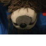 Help the sloth group