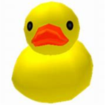 Duck-Group