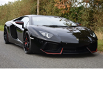 Black lamborghini squad
