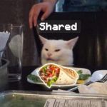 super secret shawarma club
