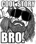 Cool Story Bro.
