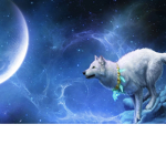 Howl Studioz