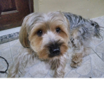 Manu gppp