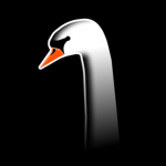 Mute Swan Studios
