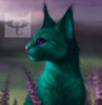Wyvern 'Clan