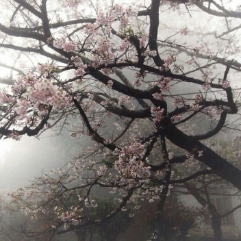 ๎๎๎๎๎๎๎๎๎๎๎๎๎๎๎๎๎๎๎๎๎๎๎๎๎๎๎๎๎๎๎๎๎๎๎๎๎๎๎๎๎๎๎๎๎๎๎๎๎๎