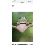 FROGS ARE COOL:•