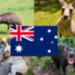 Team Australia!