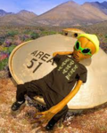 Area 51 Bogos Binted