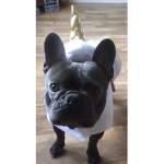 Pooopp