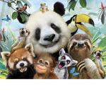 a dreamer group