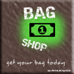 THE BAG Shop!