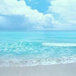 ocean shore