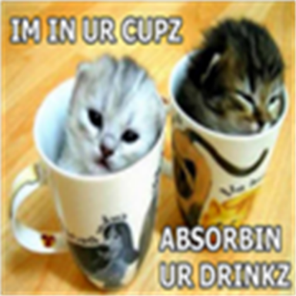 cats in a cup xD Roblox decal