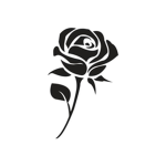 Black r0se