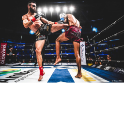 [NEW!] Boxing Punch