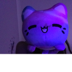 Tabby Tabby cat hang out