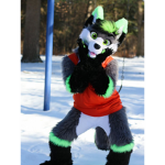 Bacons furry group