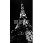 R-BIF official group