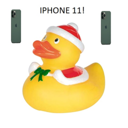 Duck Hang  (Christmas update SALE HALF OFF)