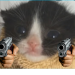 The sus cats