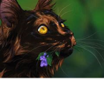 *Herbclan*