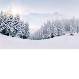 Realistic snow game