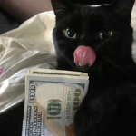 real tricks