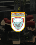 | Brigada de infantaria paraquedista |