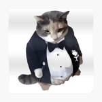 UGC Sellers