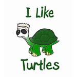 Iliketurtles2980's Roblox group