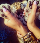 -graciess cheetahss-